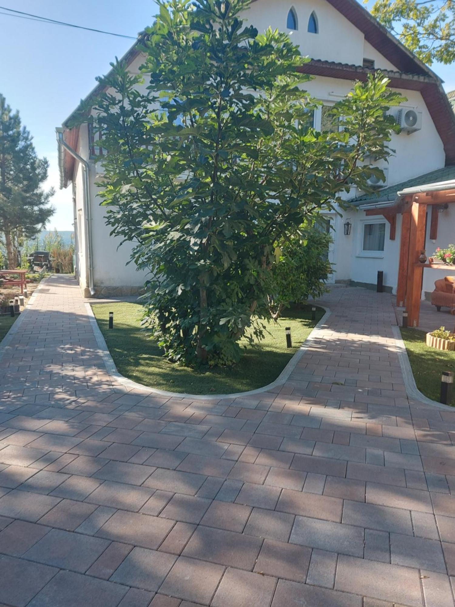 בודארוס Attila'S Guest House מראה חיצוני תמונה